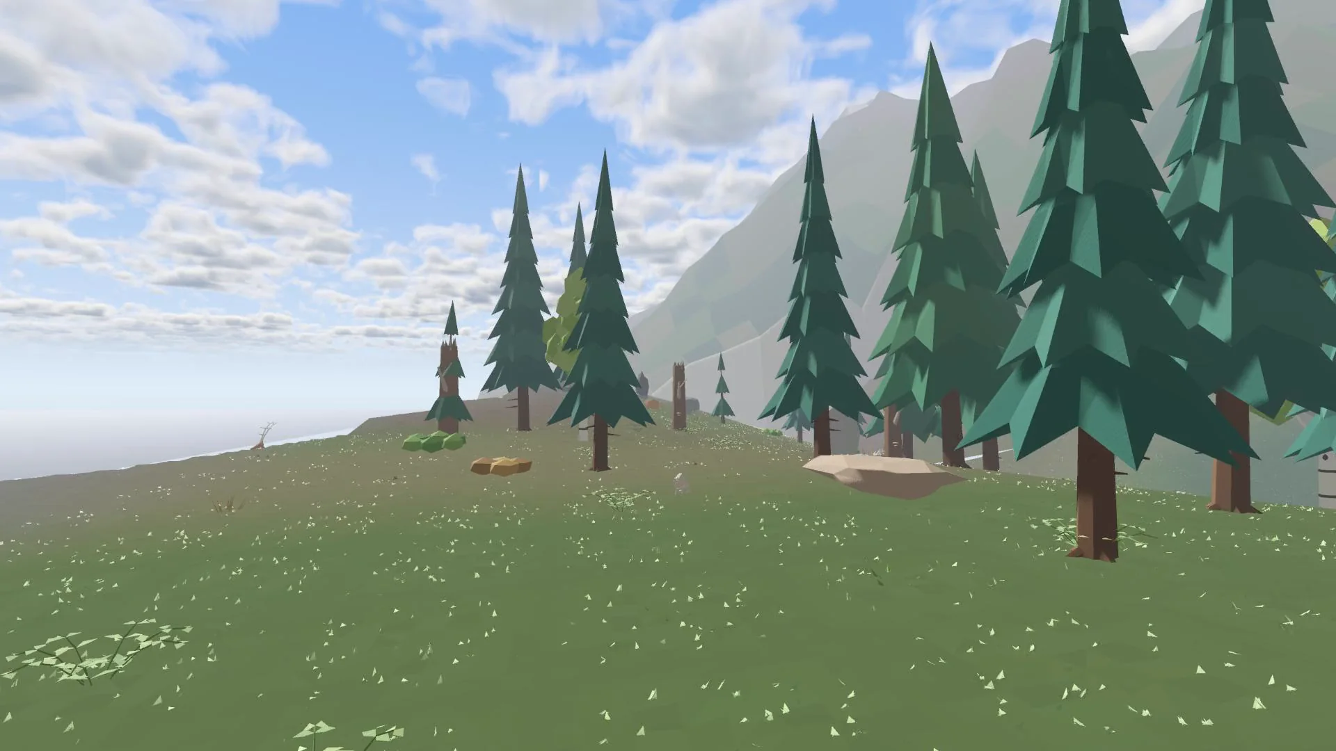 Pines along a ridge