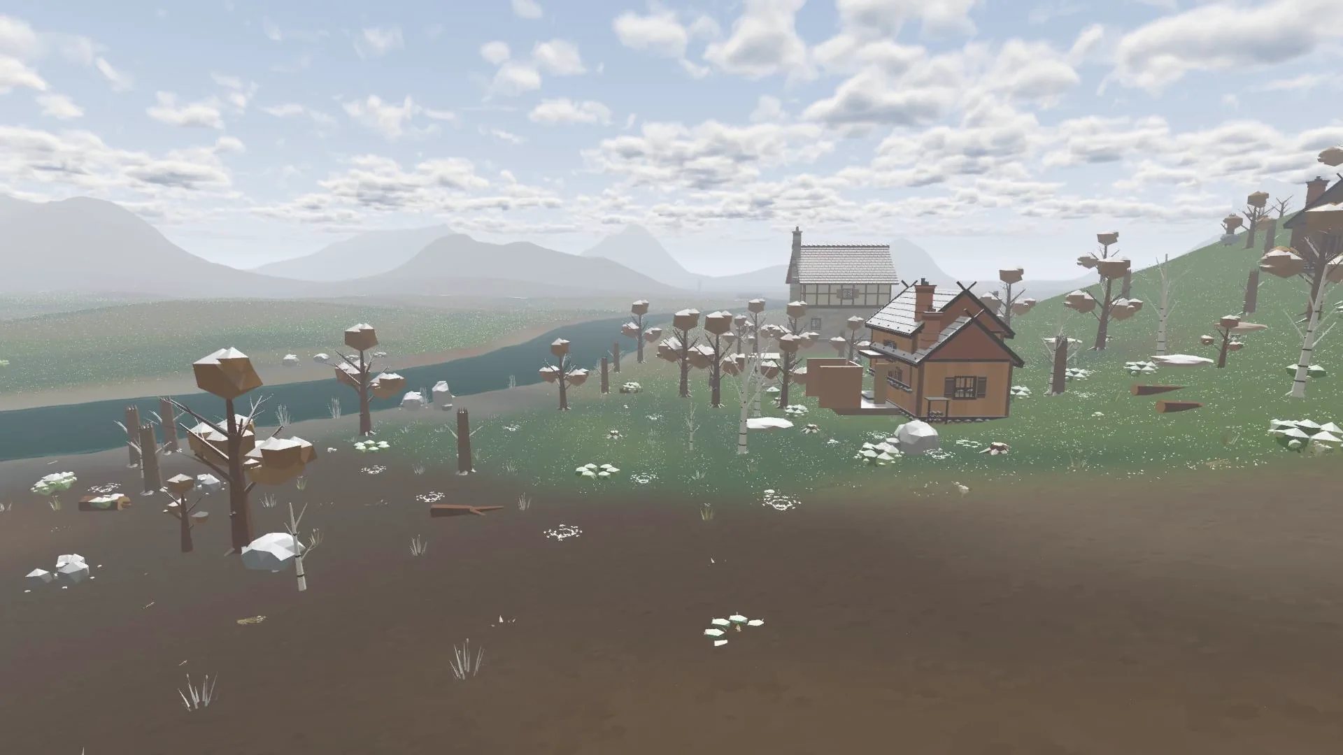 The village in winter