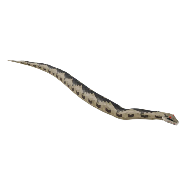 Adder