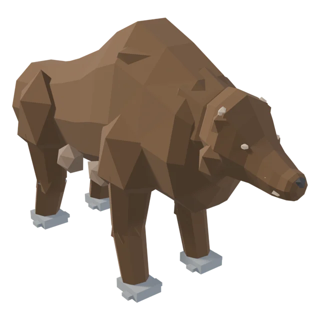Bear
