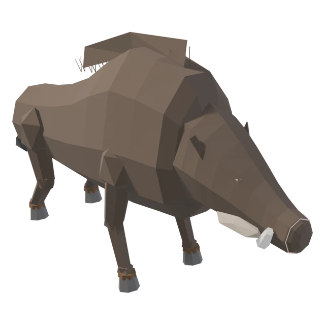Boar