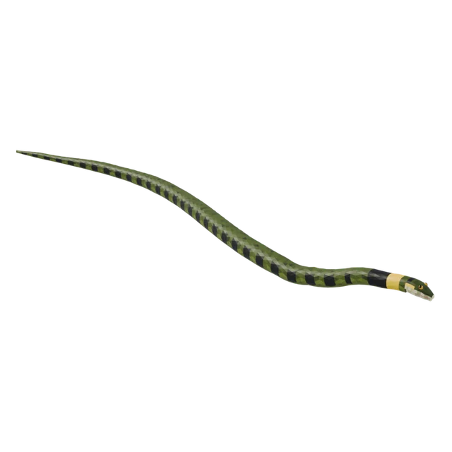 Grass Snake