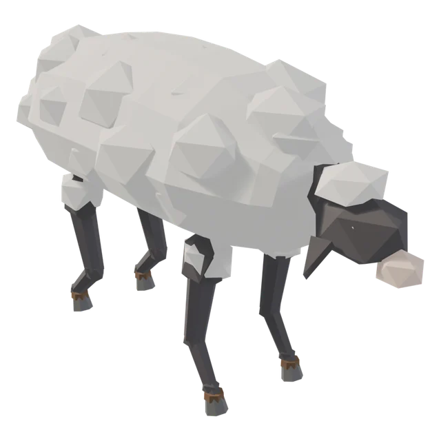 Sheep