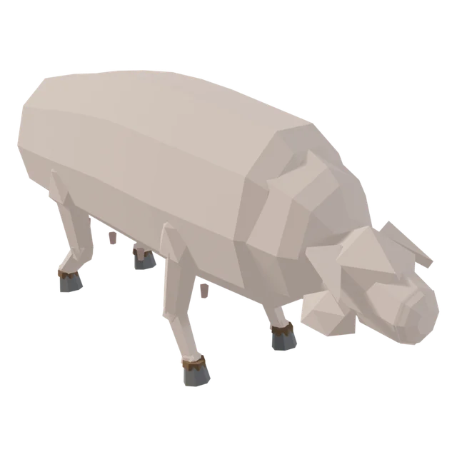 Sow